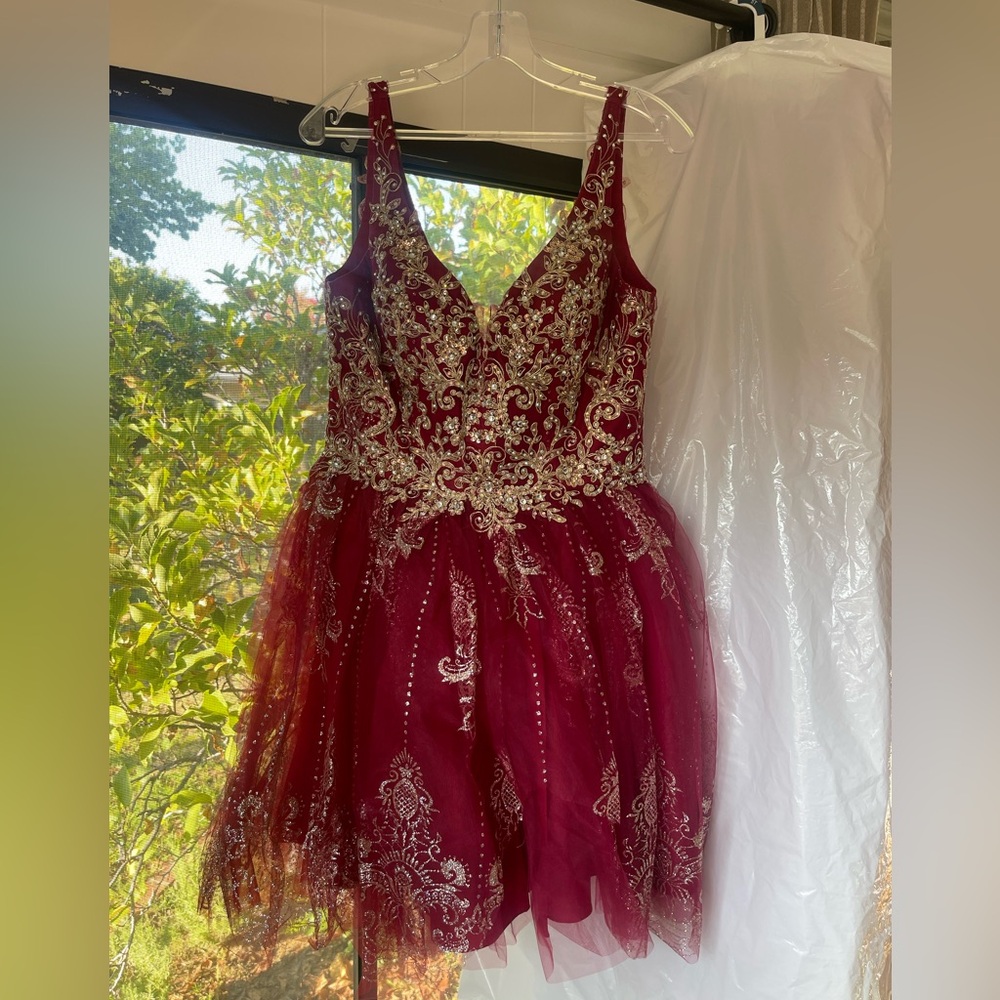 Elegant Burgundy Dress